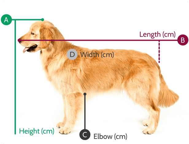 How To Measure A Dog. International Pet Transport